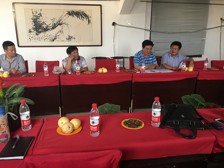 民建禹王台总支召开会议学习市委会精神